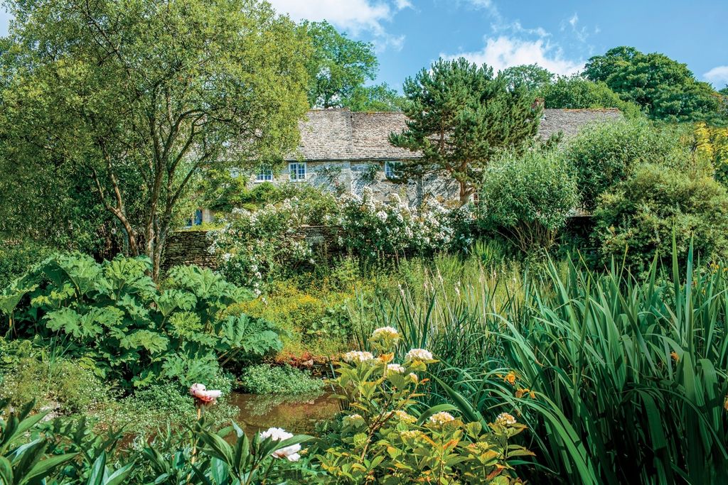 Image may contain Outdoors Vase Plant Pottery Potted Plant Jar Vegetation Nature Garden Water Land and Planter