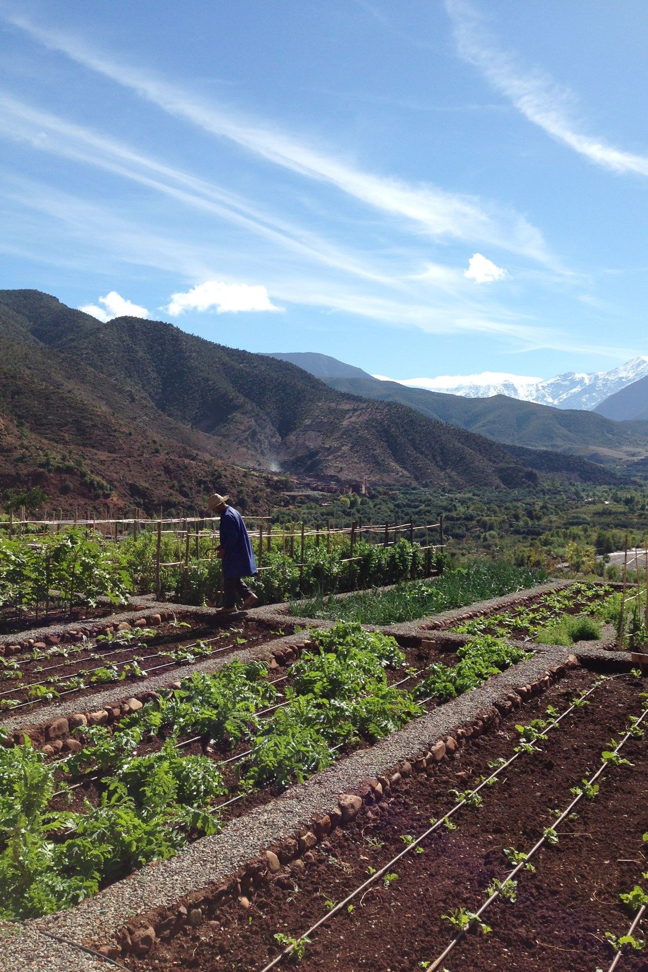 Image may contain Outdoors Human Person Garden Nature and Countryside