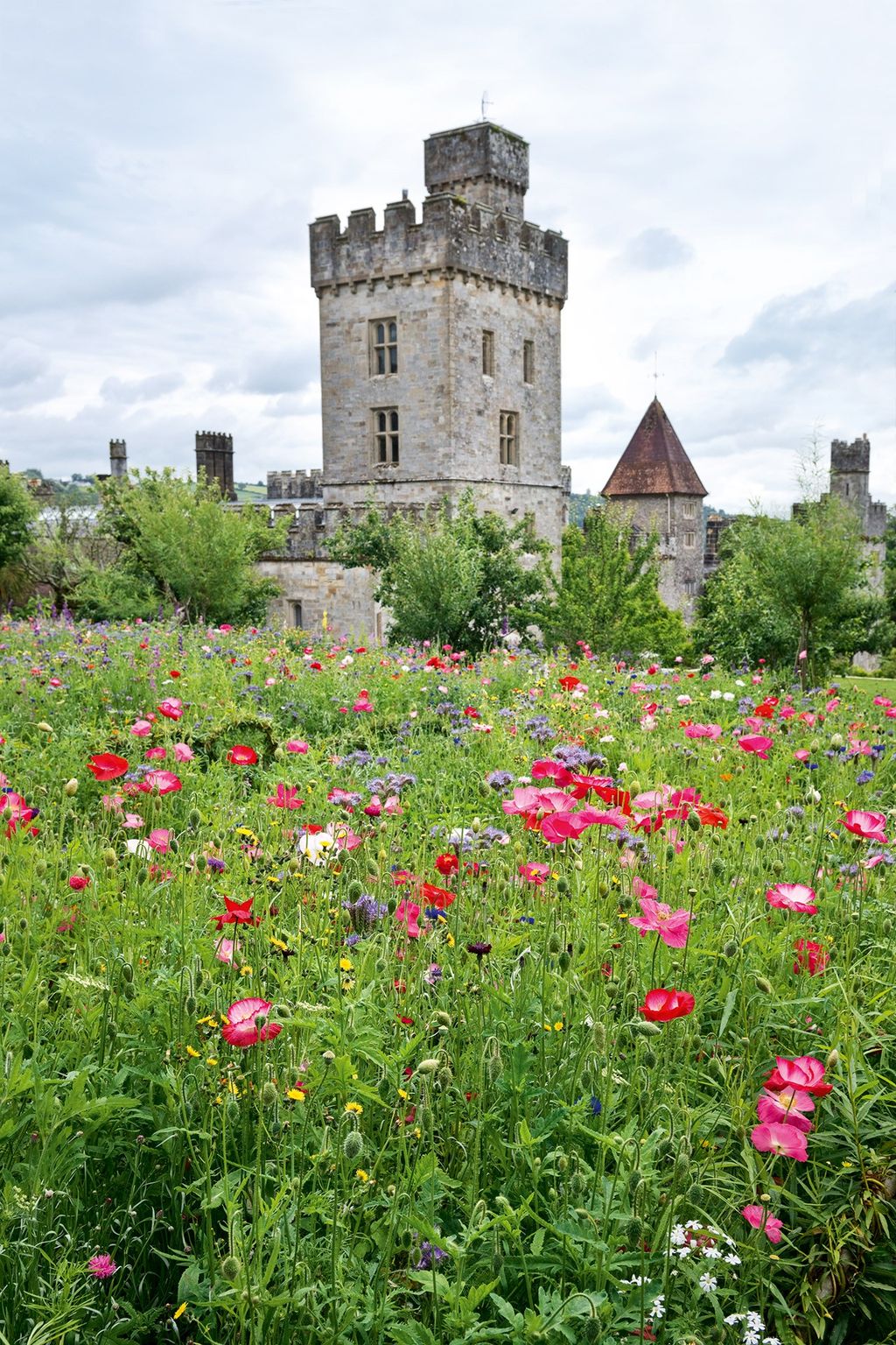 Set among idyllic fields of clover and wildflowers is the Gothic Lismore Castle . Built as the sister castle to...