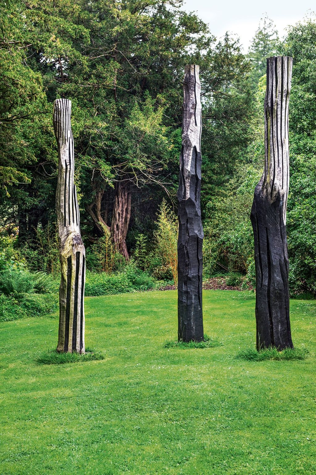 Image may contain Plant Tree Grass and Tree Trunk
