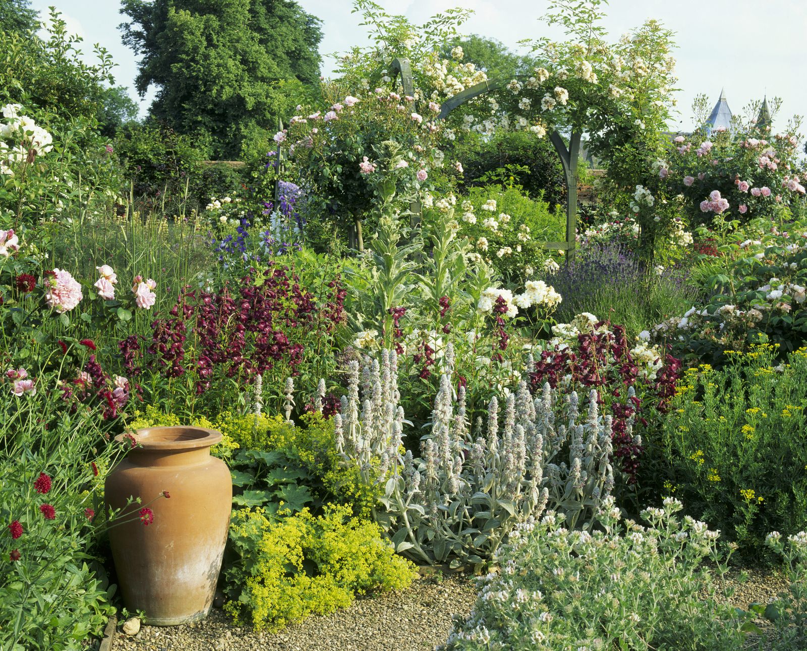 Image may contain Garden Outdoors Plant Arbour Flower Blossom and Jar