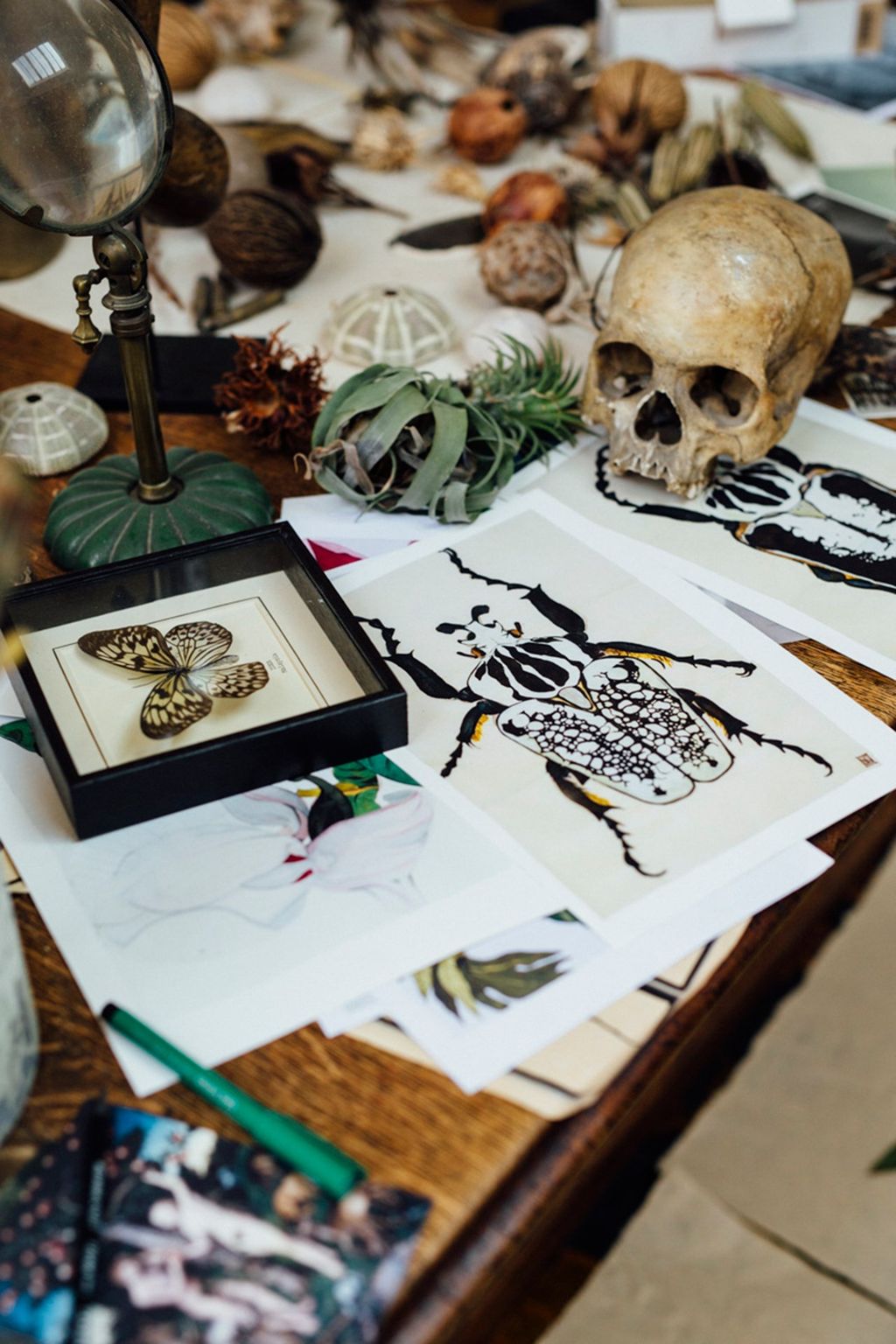 Sarah Graham London  Studio Objets  Artists' Houses | Interiors