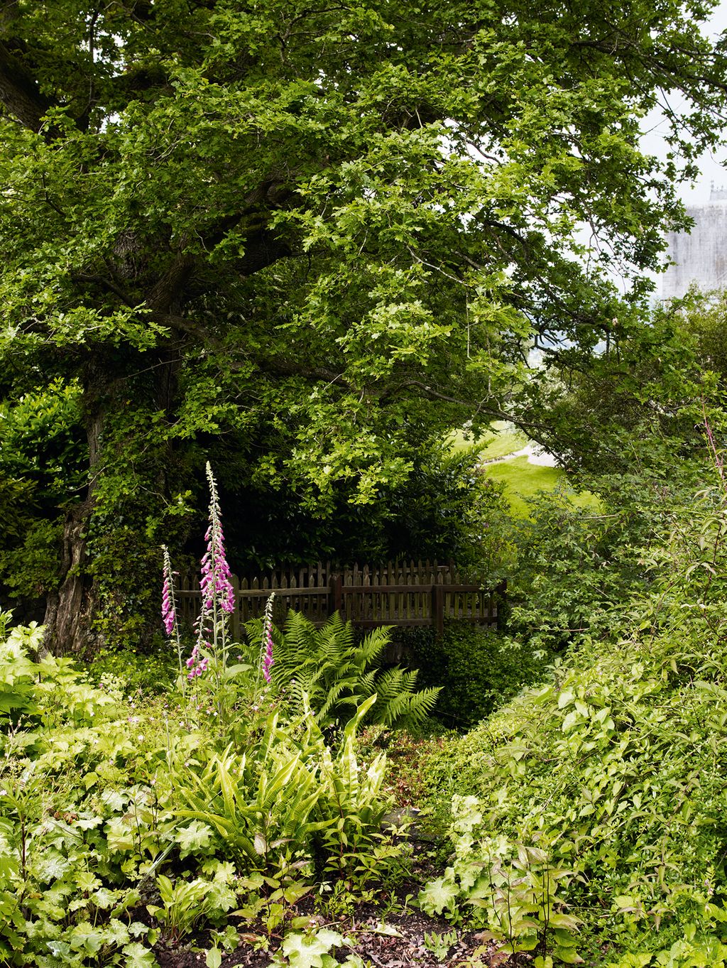 Image may contain Garden Arbour Outdoors Plant Flower and Blossom