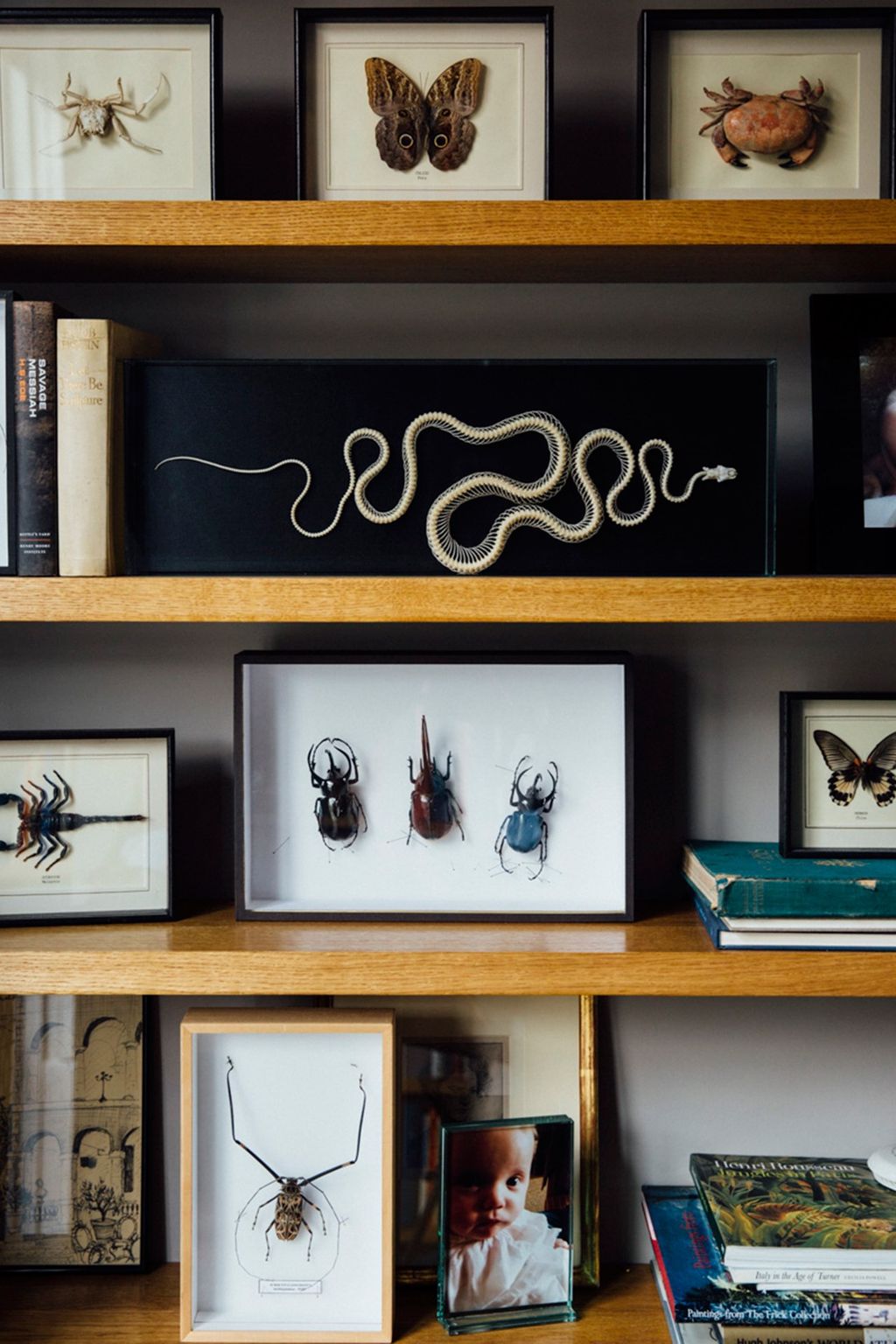 Nature Collection  Artist Flat and Studio | Real Homes