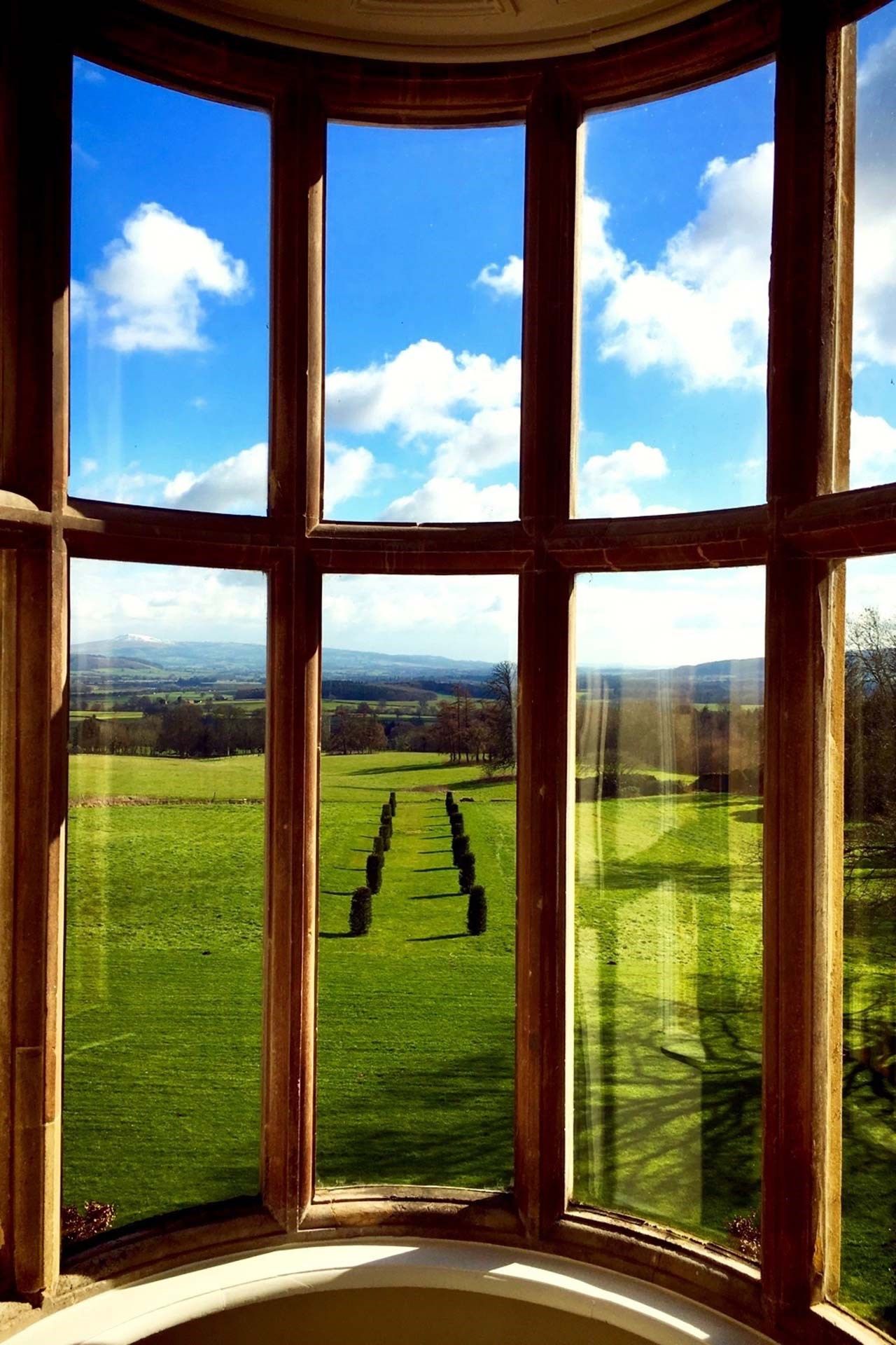 Image may contain Window