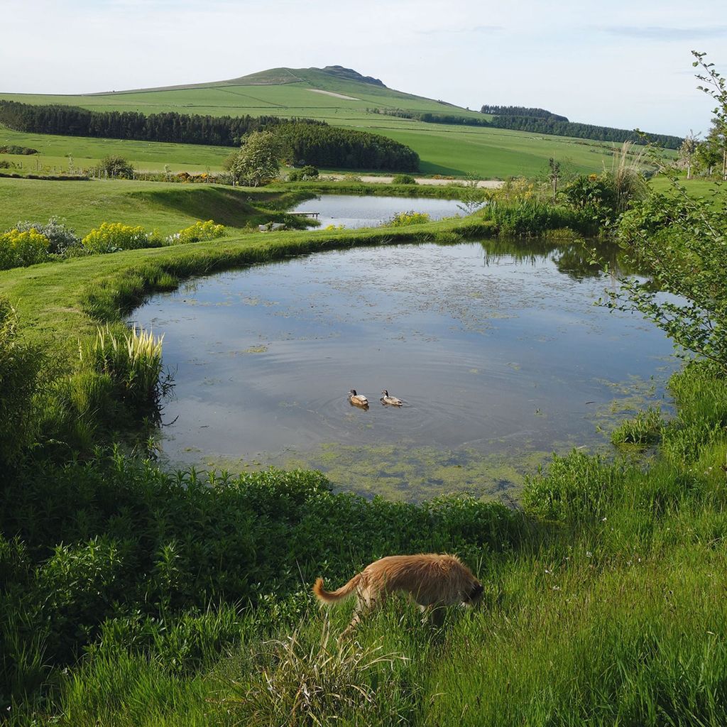 Pond Scottish Borders New Build | Real Homes