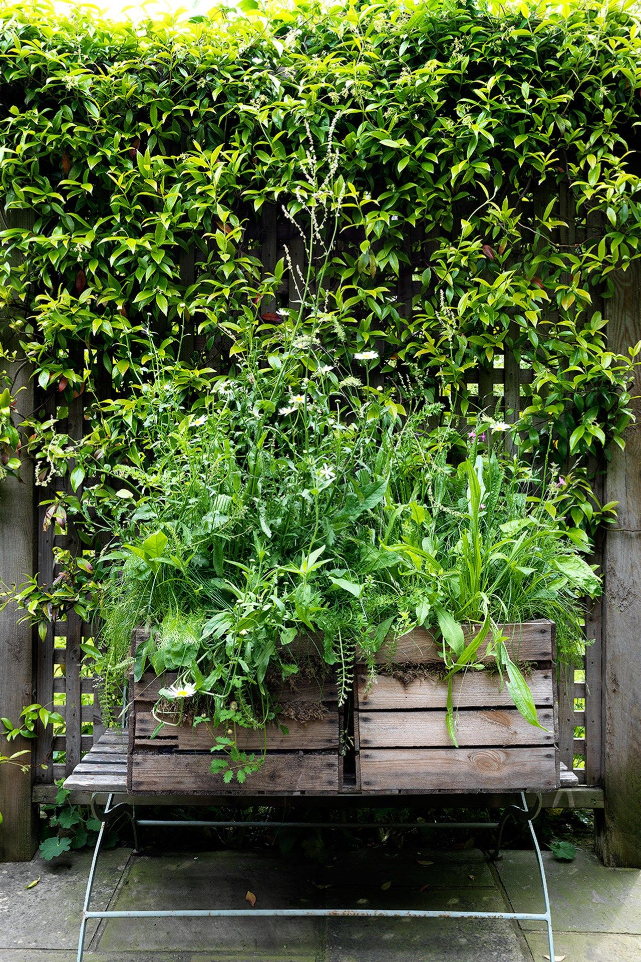 Image may contain Plant Pottery Vase Potted Plant Jar Garden Arbour Outdoors Planter and Herbs