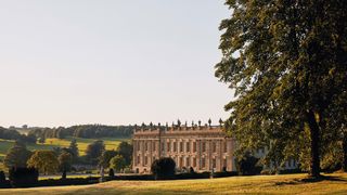 Image may contain Plant Grass Campus and Lawn