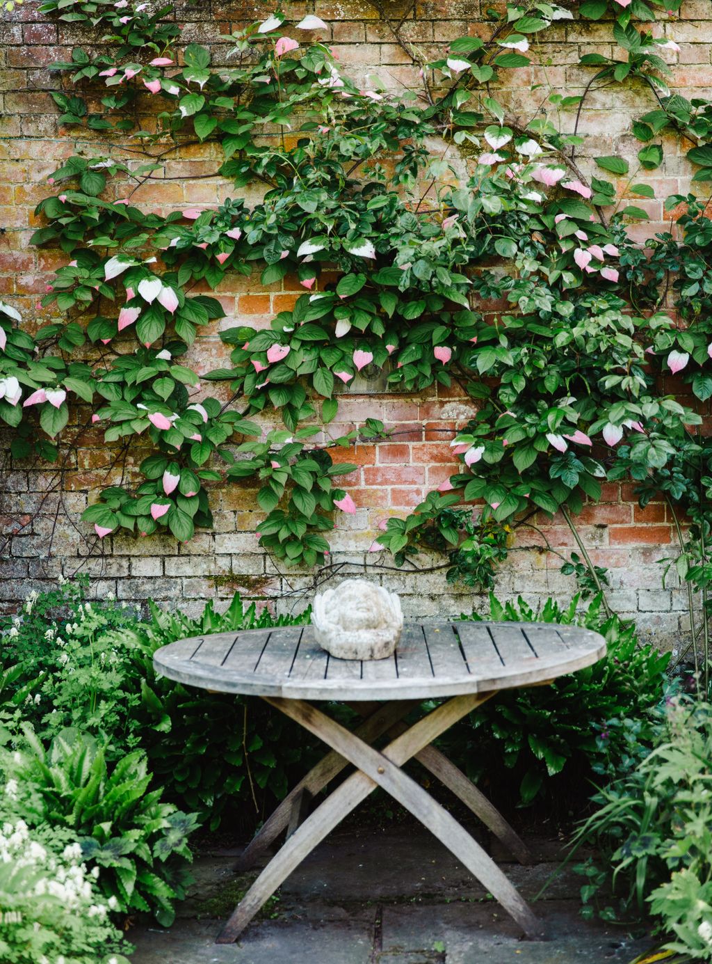 Image may contain Outdoors Garden Plant Arbour Furniture and Bench