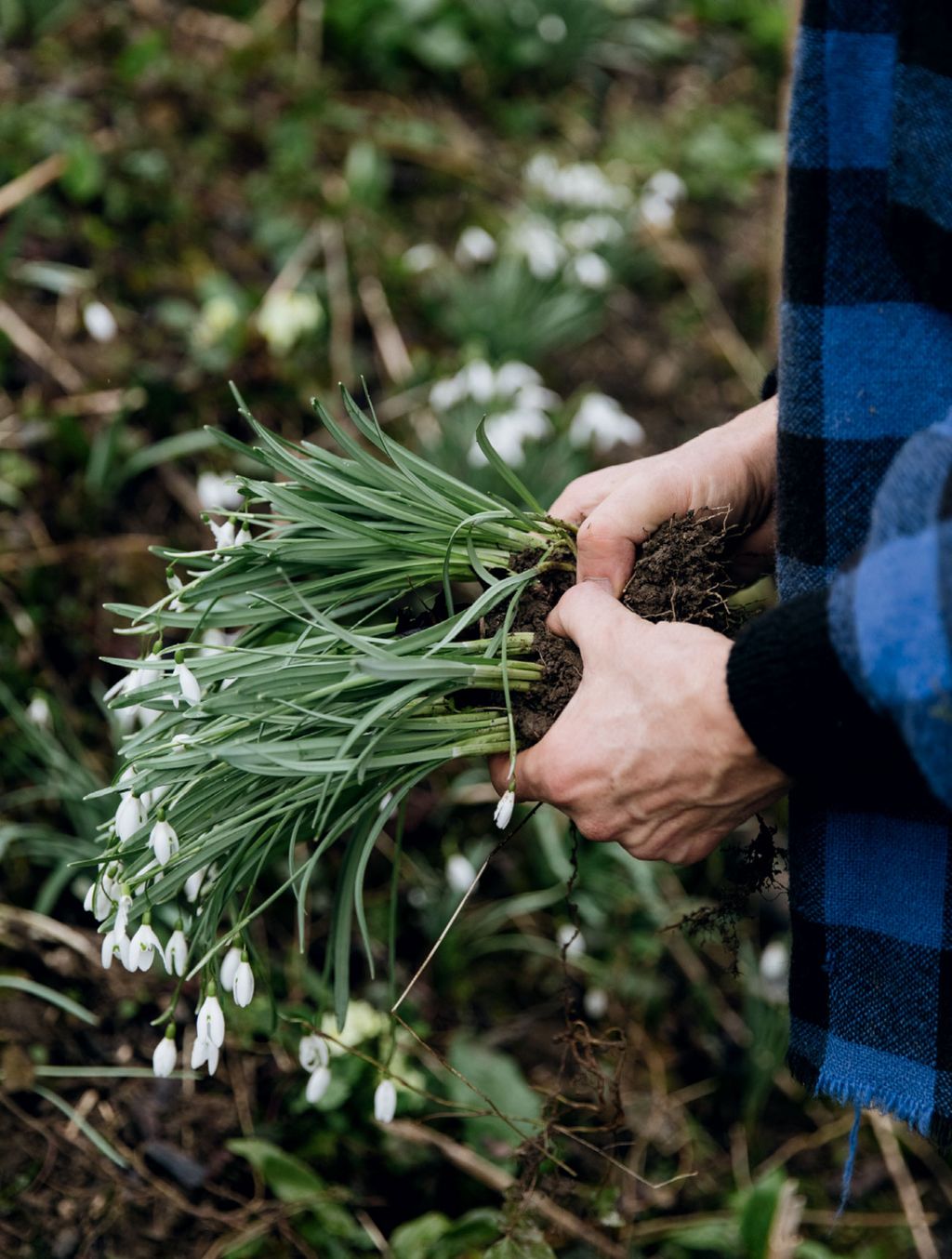 Image may contain Outdoors Plant Human Person and Garden