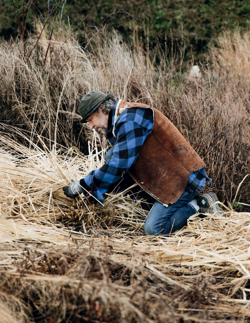 Dan cuts back collapsed stems in the perennial garden.