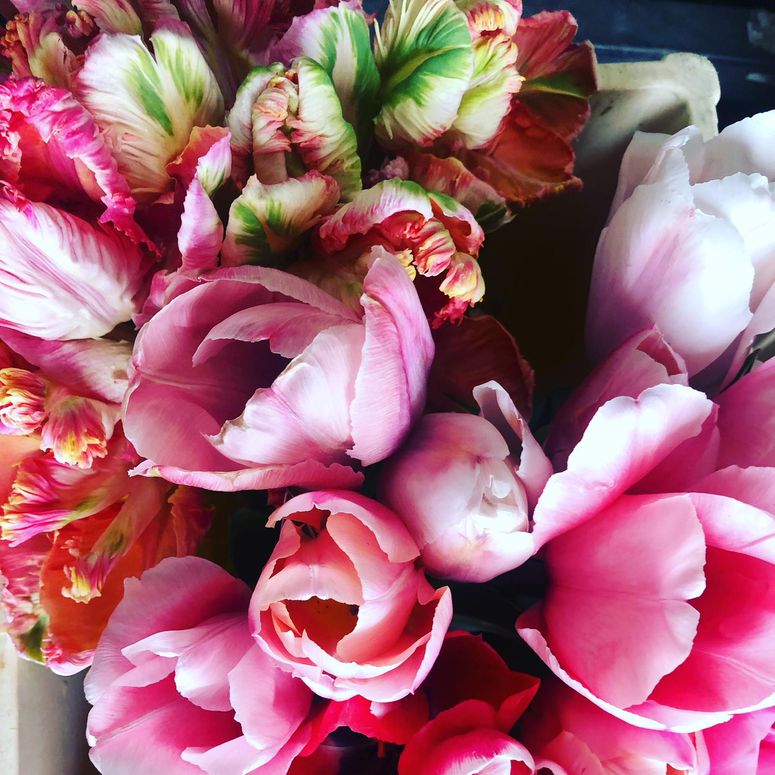 Image may contain: Plant, Flower Arrangement, Flower, Flower Bouquet, Blossom, and Peony