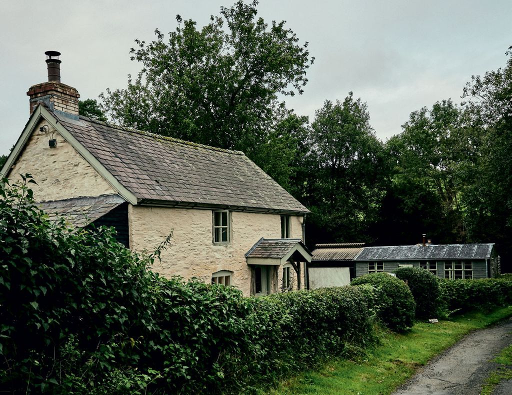 Image may contain Roof and Plant