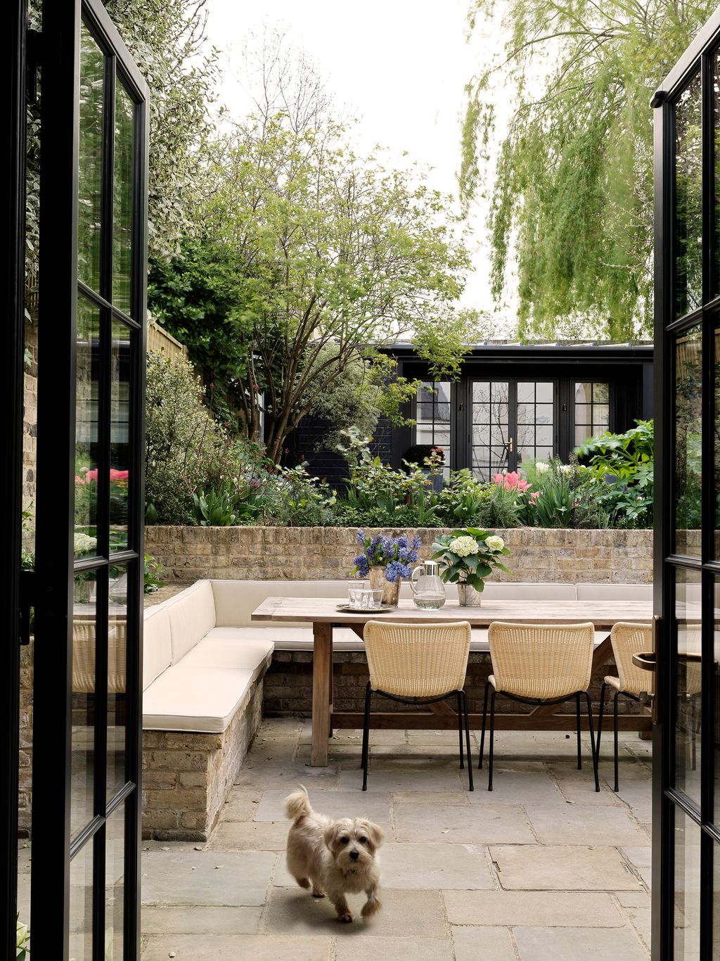 Image may contain Furniture Chair Patio Animal Dog Mammal Pet and Canine