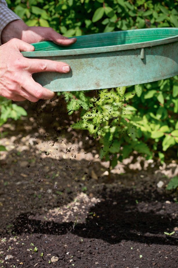 Image may contain Human Person Garden Outdoors Plant Furniture and Bench