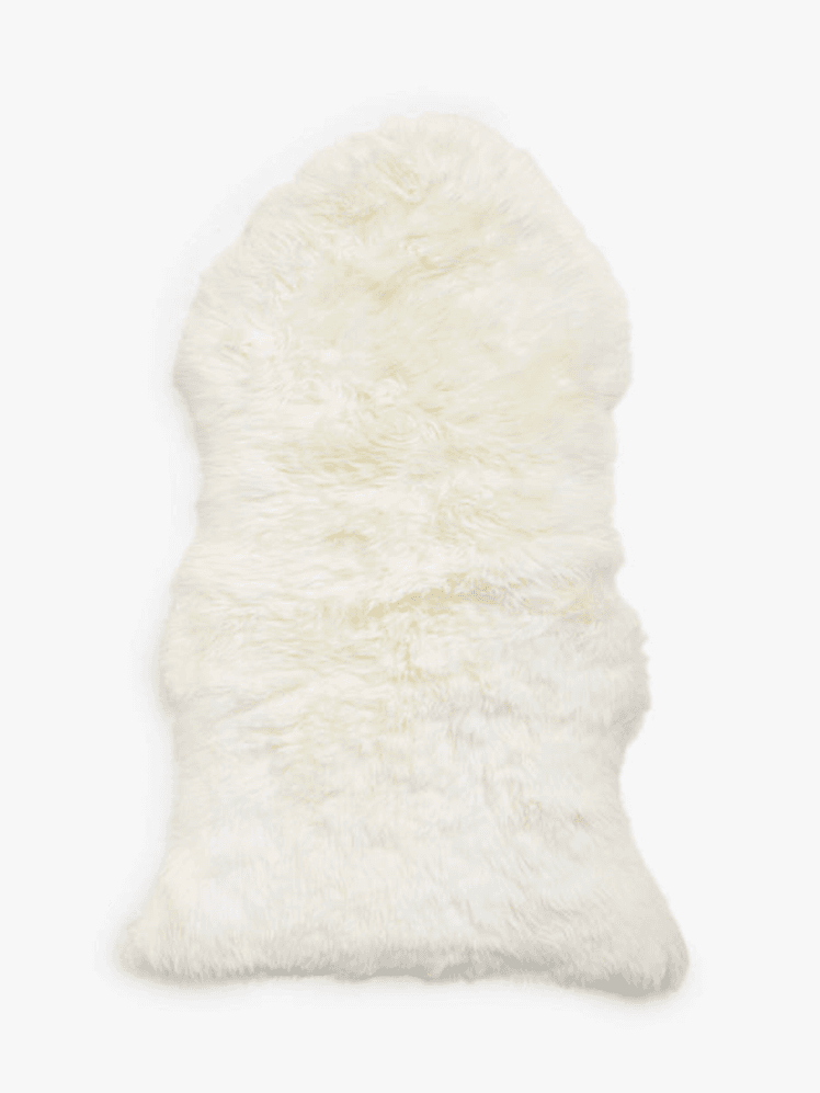 Image may contain: Rug