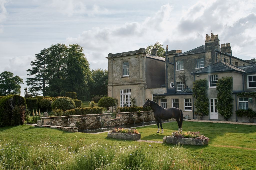 Image may contain Grass Plant Animal Mammal Horse Lawn Housing and Building