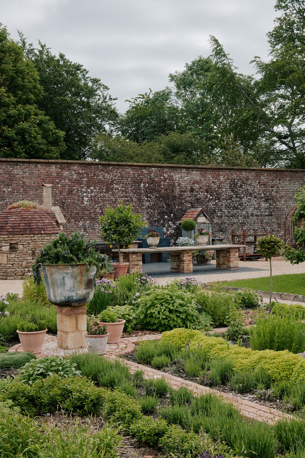 Image may contain Vase Plant Pottery Potted Plant Jar Outdoors Grass Flagstone Brick Planter Tree and Herbs