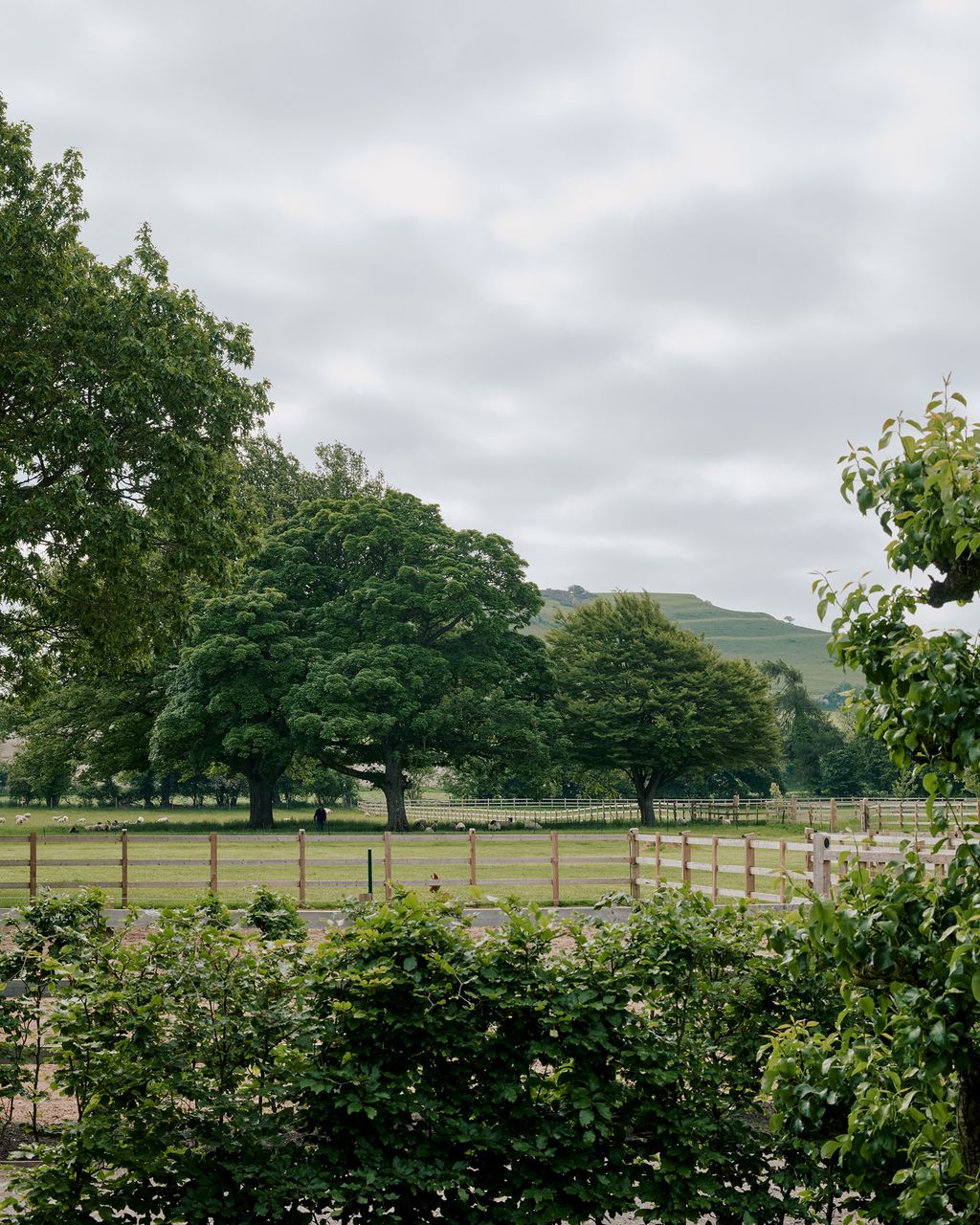 Looking out beyond the horses paddock onto nearby Cley Hill which rises up majestically and is mirrored by the wave lawn...