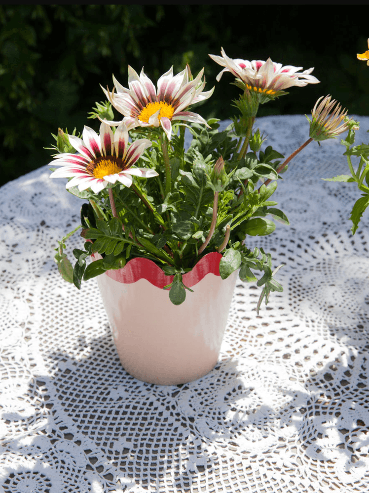 Image may contain: Plant, Flower, Blossom, and Flower Arrangement