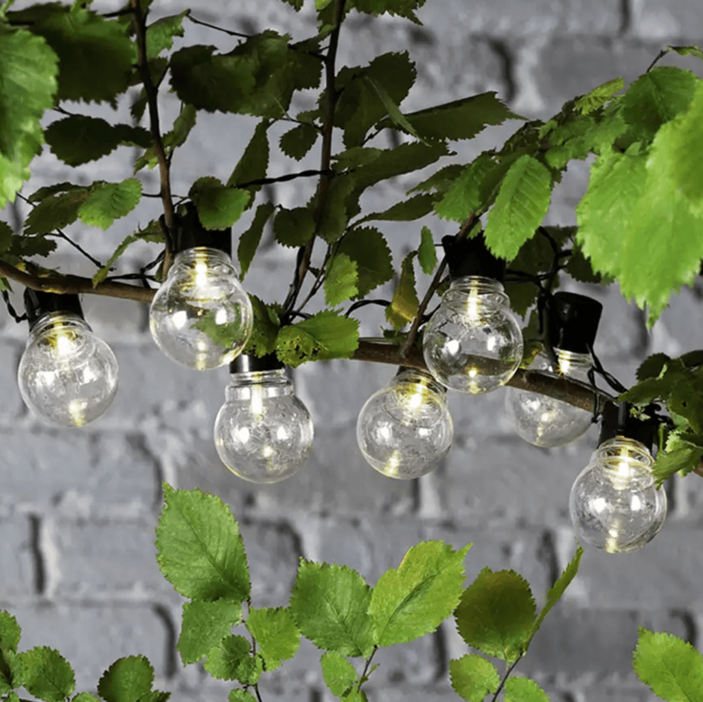 Image may contain Light Plant and Lightbulb