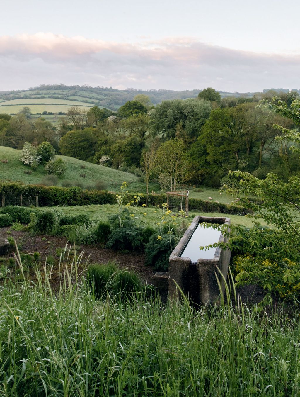 An antique stone trough on the edge of the gravel garden below the house.