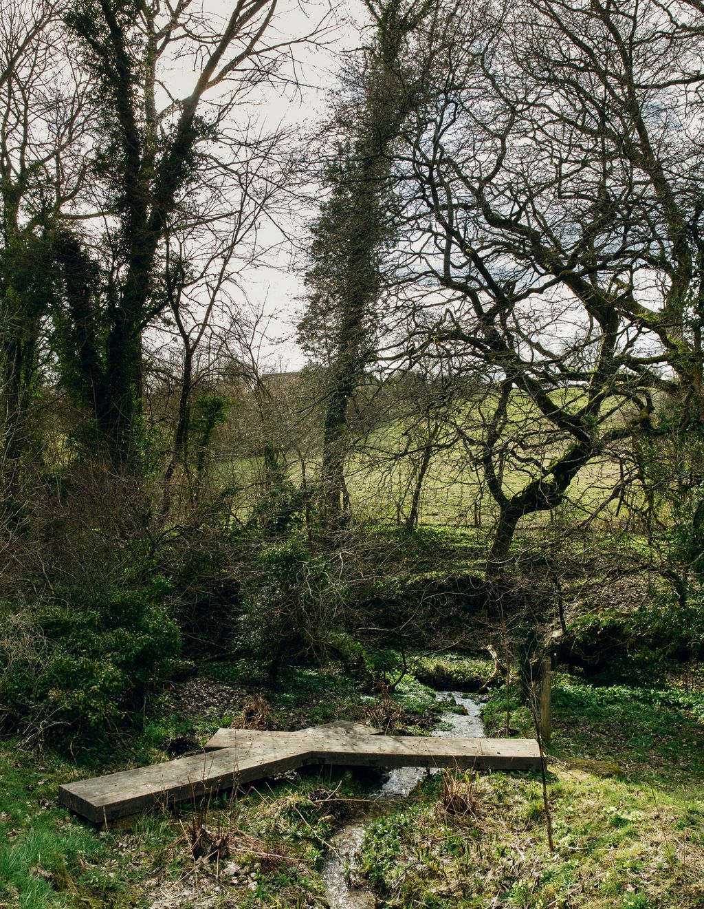 A Japanesestyle bridge at the bottom of the ditch.