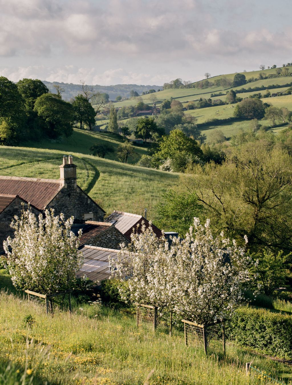 A view across blossomladen Malus hupehensis and the farmhouse to the landscape beyond.