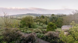 Image may contain Outdoors Nature Plant Tree Fir Abies Countryside Vegetation and Building