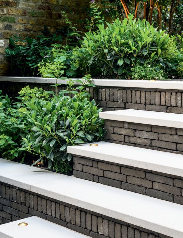 Image may contain Outdoors Garden Arbour and Plant