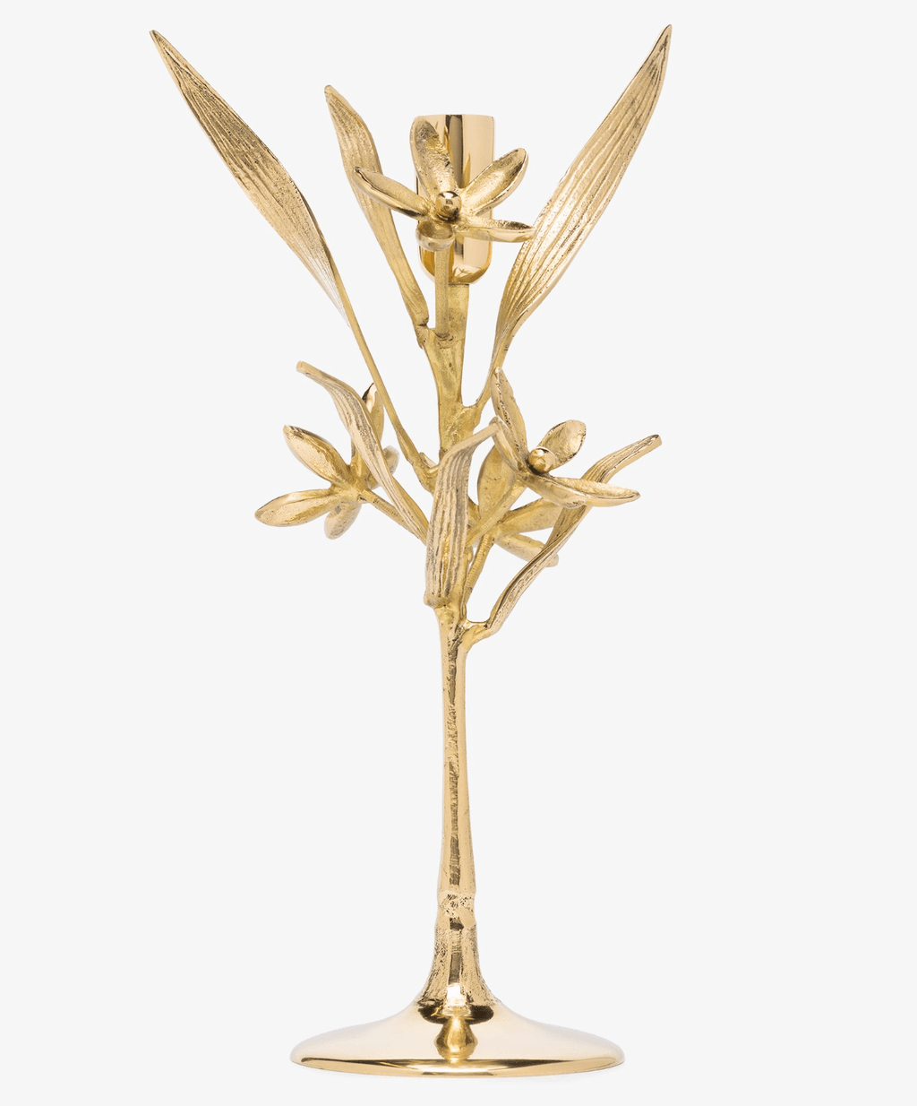 Image may contain Antler