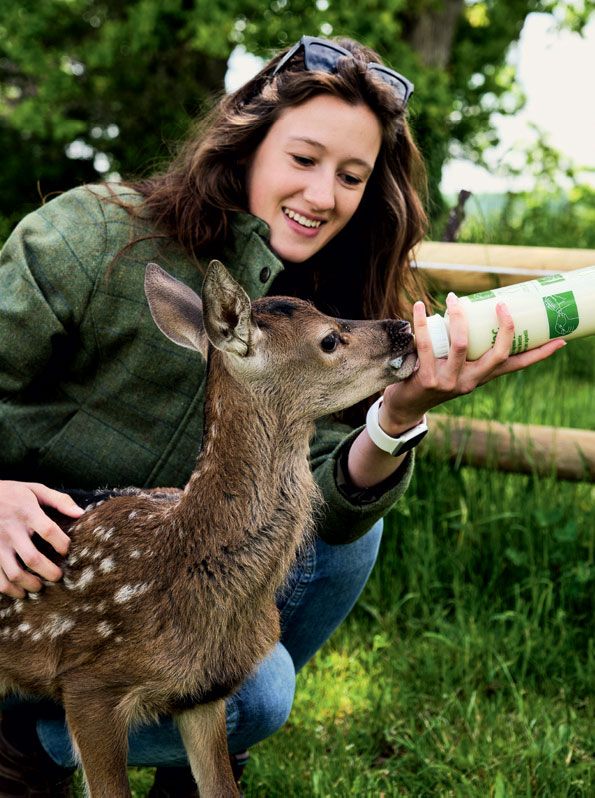 Image may contain Sunglasses Accessories Accessory Human Person Animal Deer Wildlife and Mammal