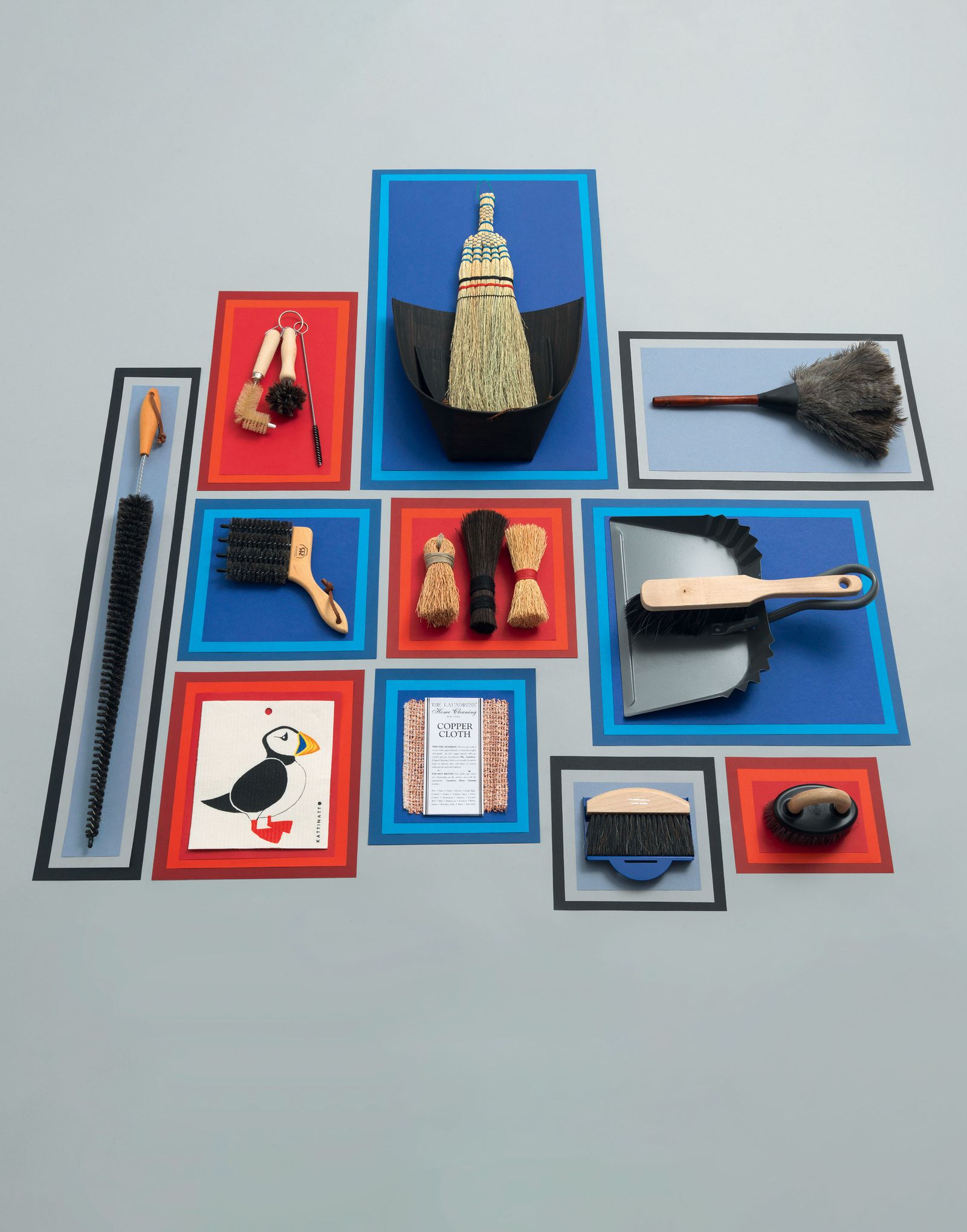 Image may contain Animal and Bird