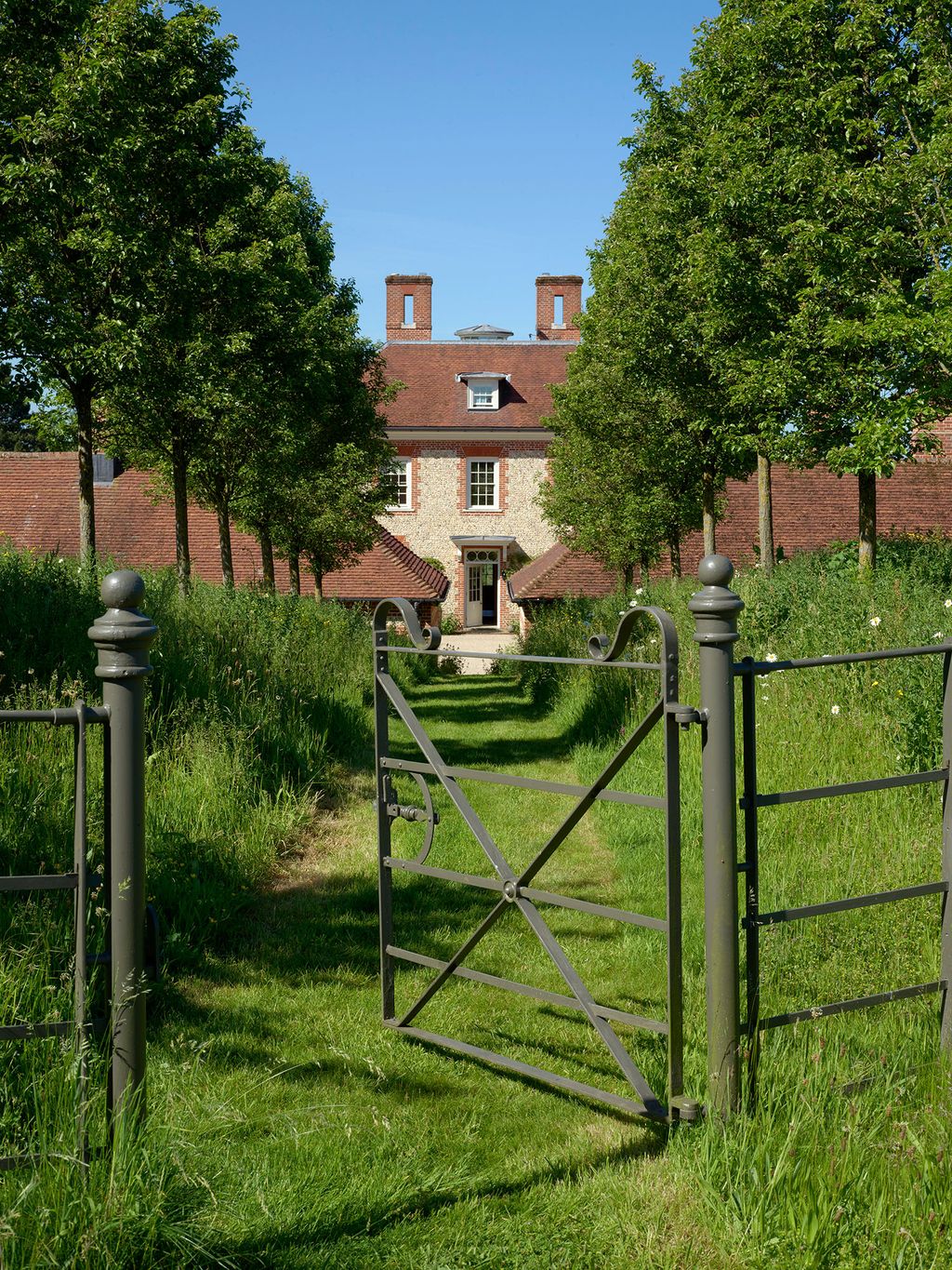 Image may contain Gate Plant and Tree