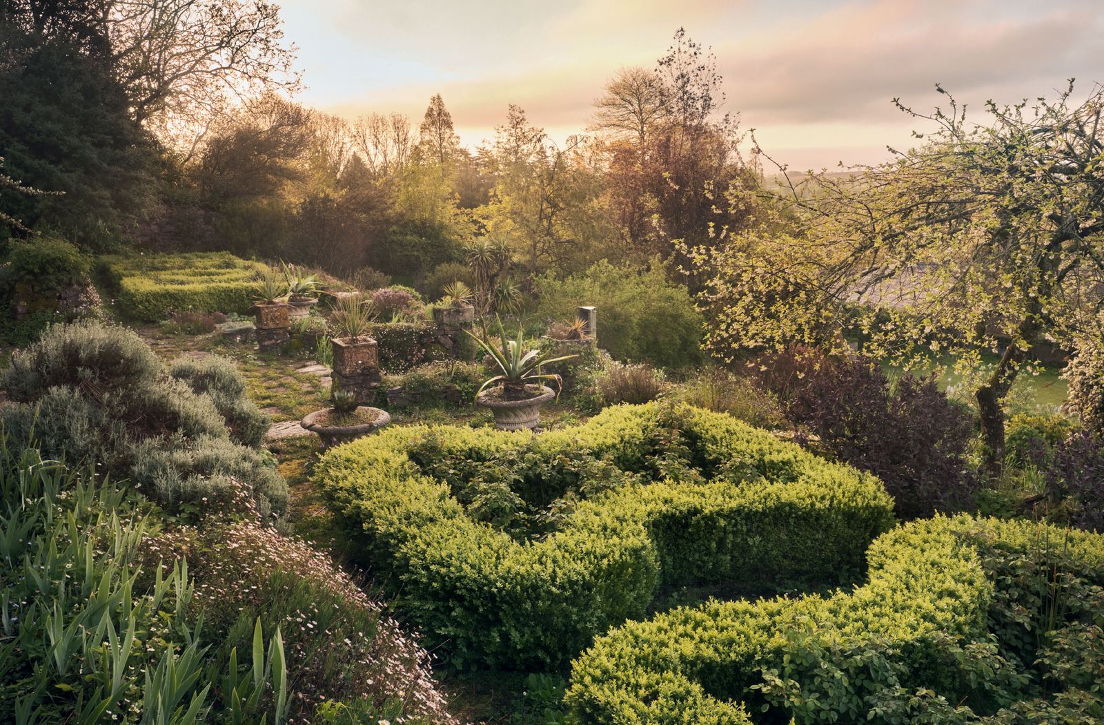 Image may contain Labyrinth and Maze