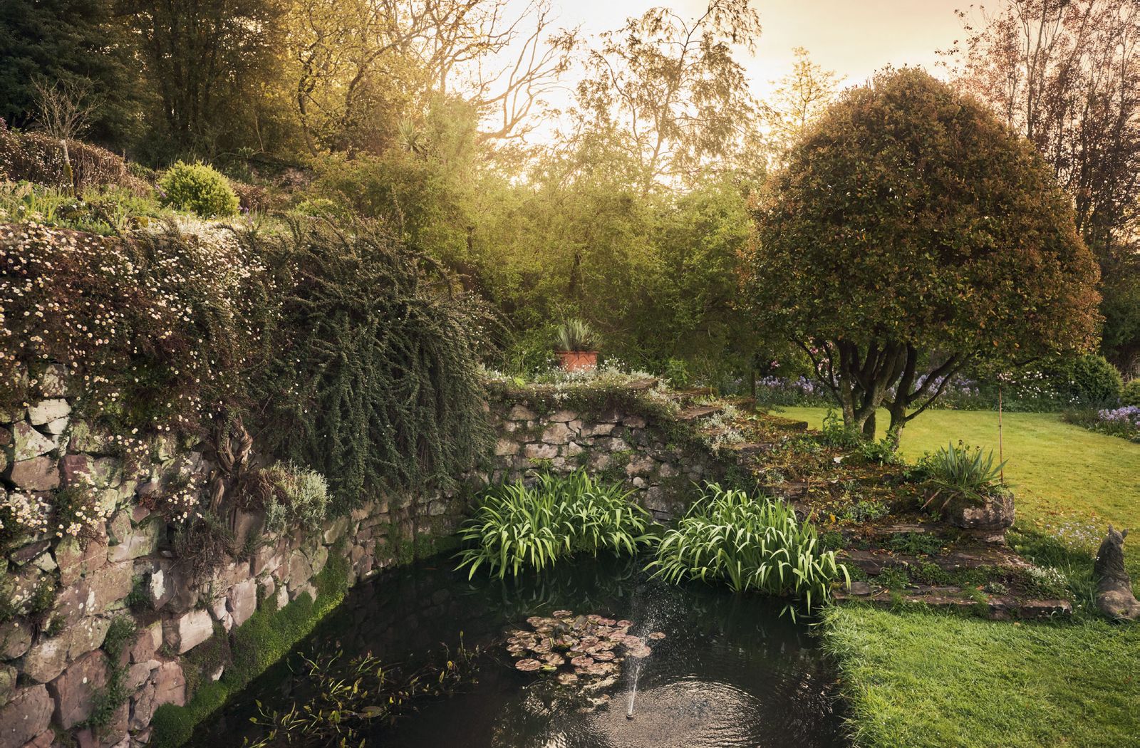 Image may contain Water Outdoors Nature Land Plant Ditch Pond Bird Animal Poultry Chicken and Fowl