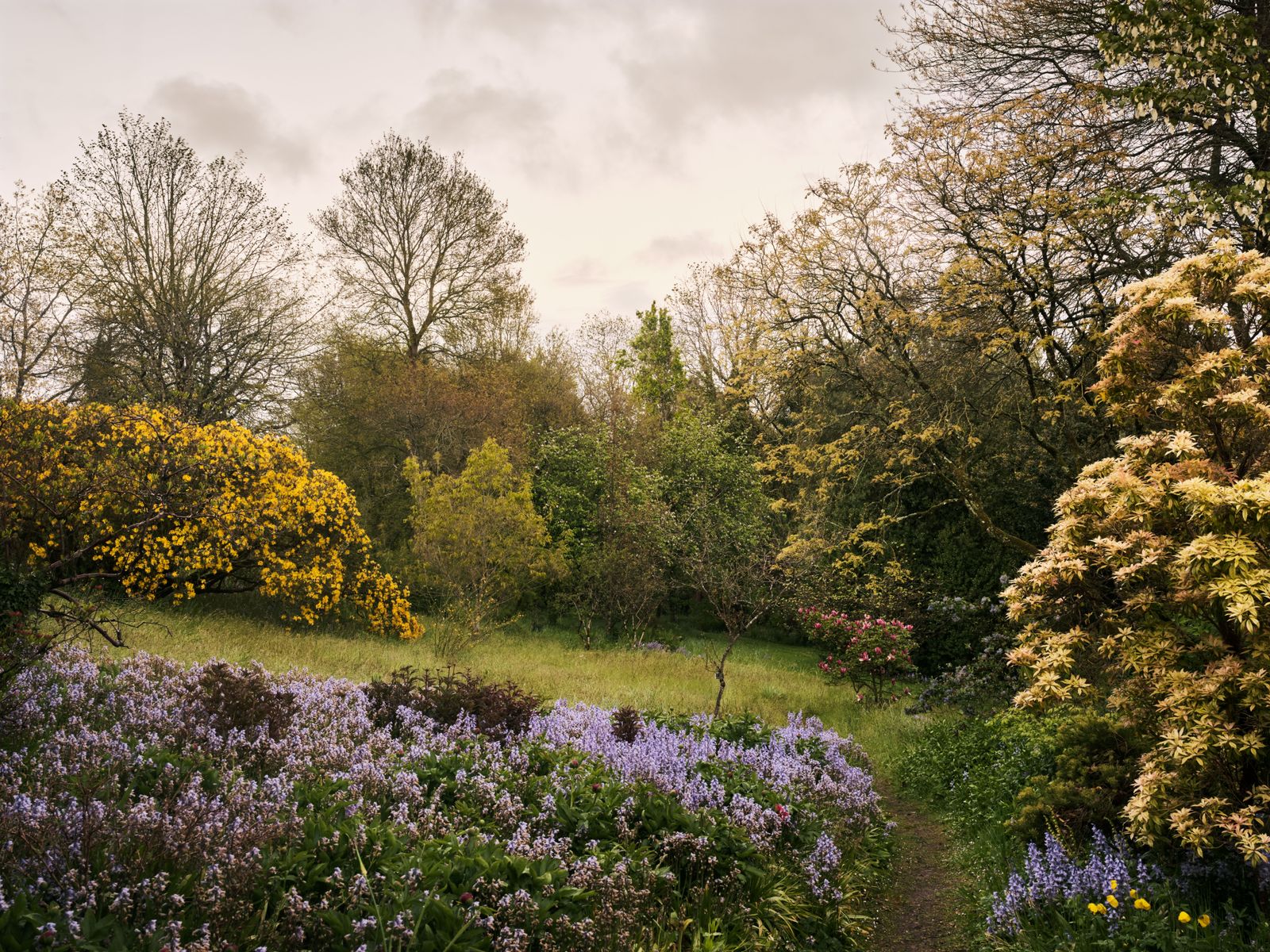 Image may contain Vase Plant Pottery Potted Plant Jar Planter Nature Outdoors Herbs Herbal Grassland and Field