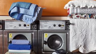 Image may contain Laundry and Appliance