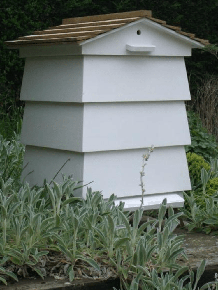 Image may contain: Mailbox, and Letterbox