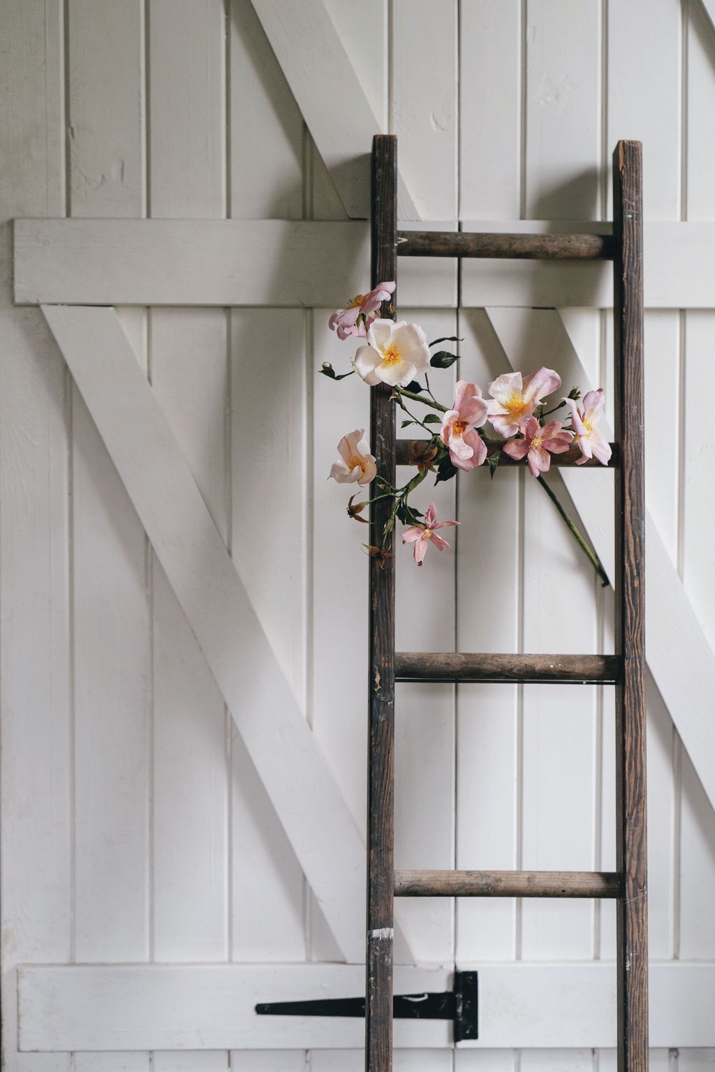 Image may contain Plant Flower Ikebana Ornament Vase Flower Arrangement Art Pottery Jar and Blossom