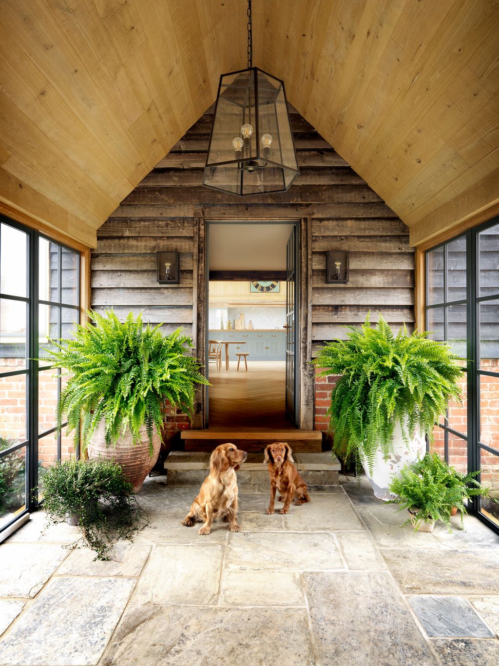 Image may contain Animal Pet Canine Dog Mammal Building Housing Outdoors Vase Plant Pottery Potted Plant and Jar