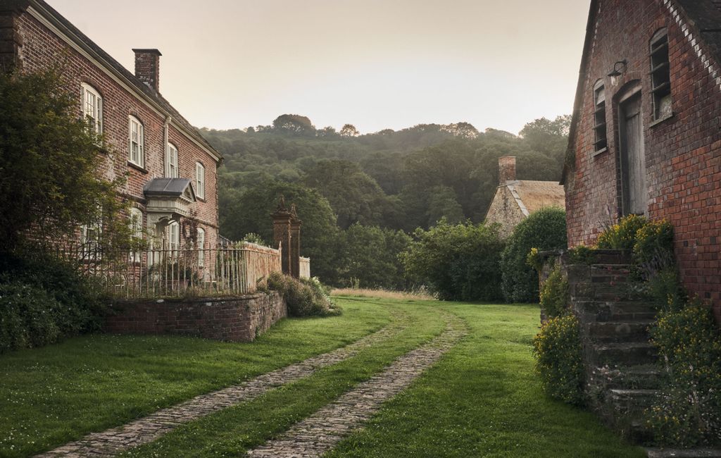 Image may contain Grass Plant Outdoors Tree and Building