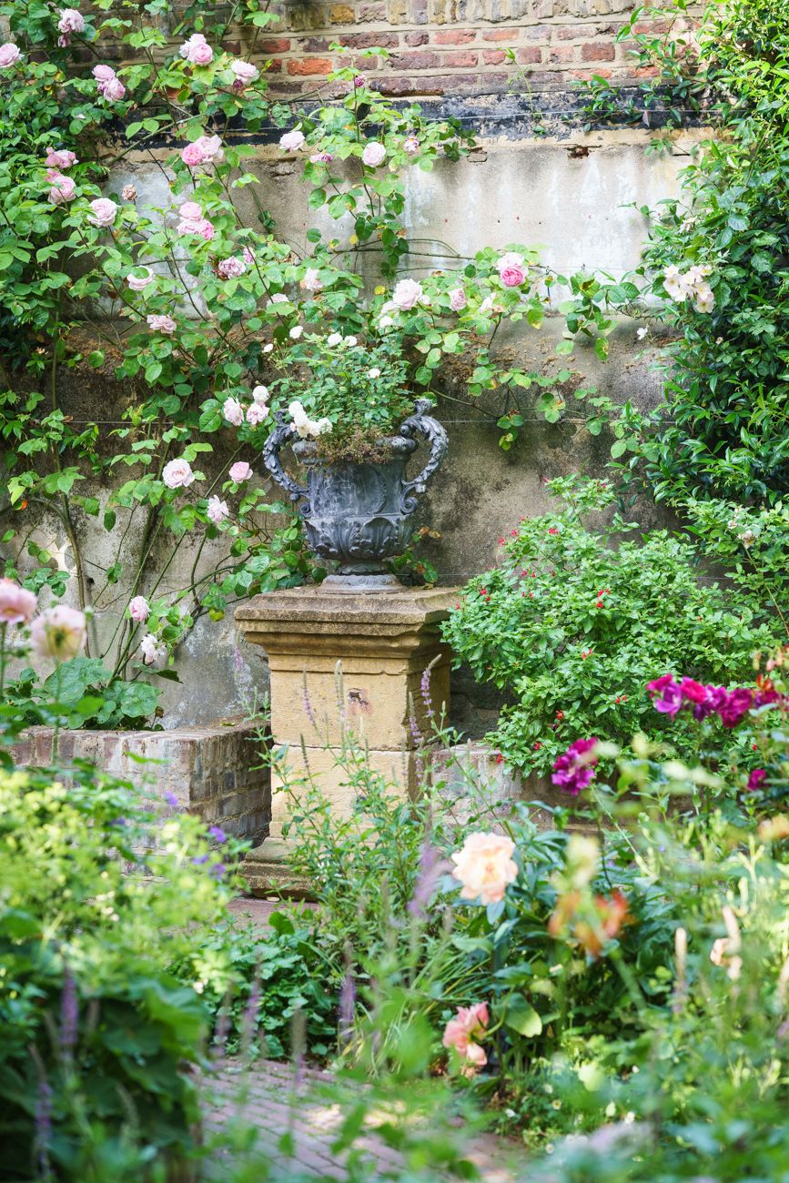 Image may contain Outdoors Vase Plant Pottery Potted Plant Jar Garden Arbour Planter Flower Geranium and Blossom