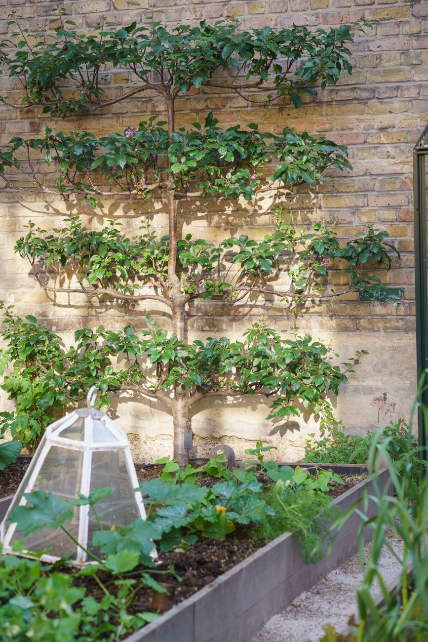 Image may contain Vase Plant Pottery Potted Plant Jar Planter Brick and Herbs