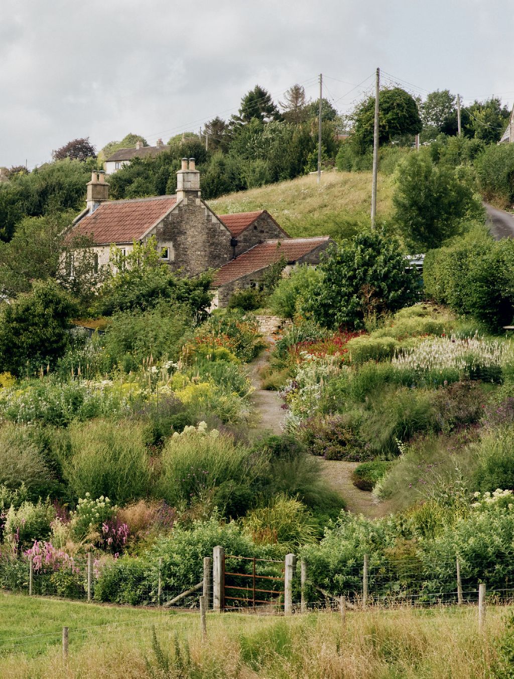 Looking over the perennial garden in midsummer towards the house.