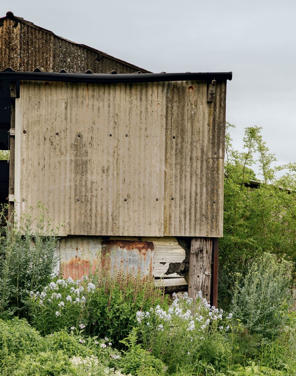 Image may contain Nature Outdoors Building Housing Countryside Rural Hut Shelter Shack and House