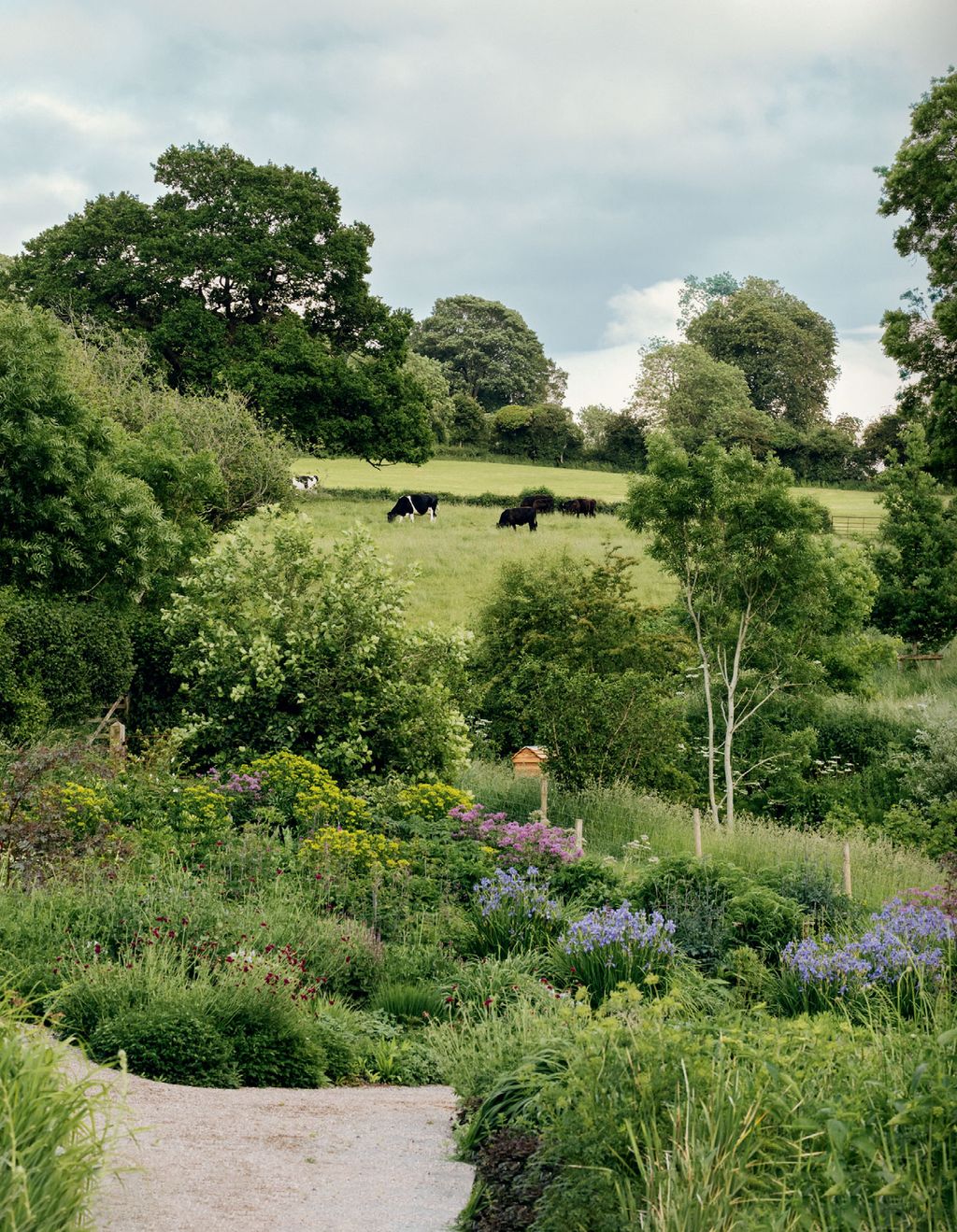The perennial garden in early summer.