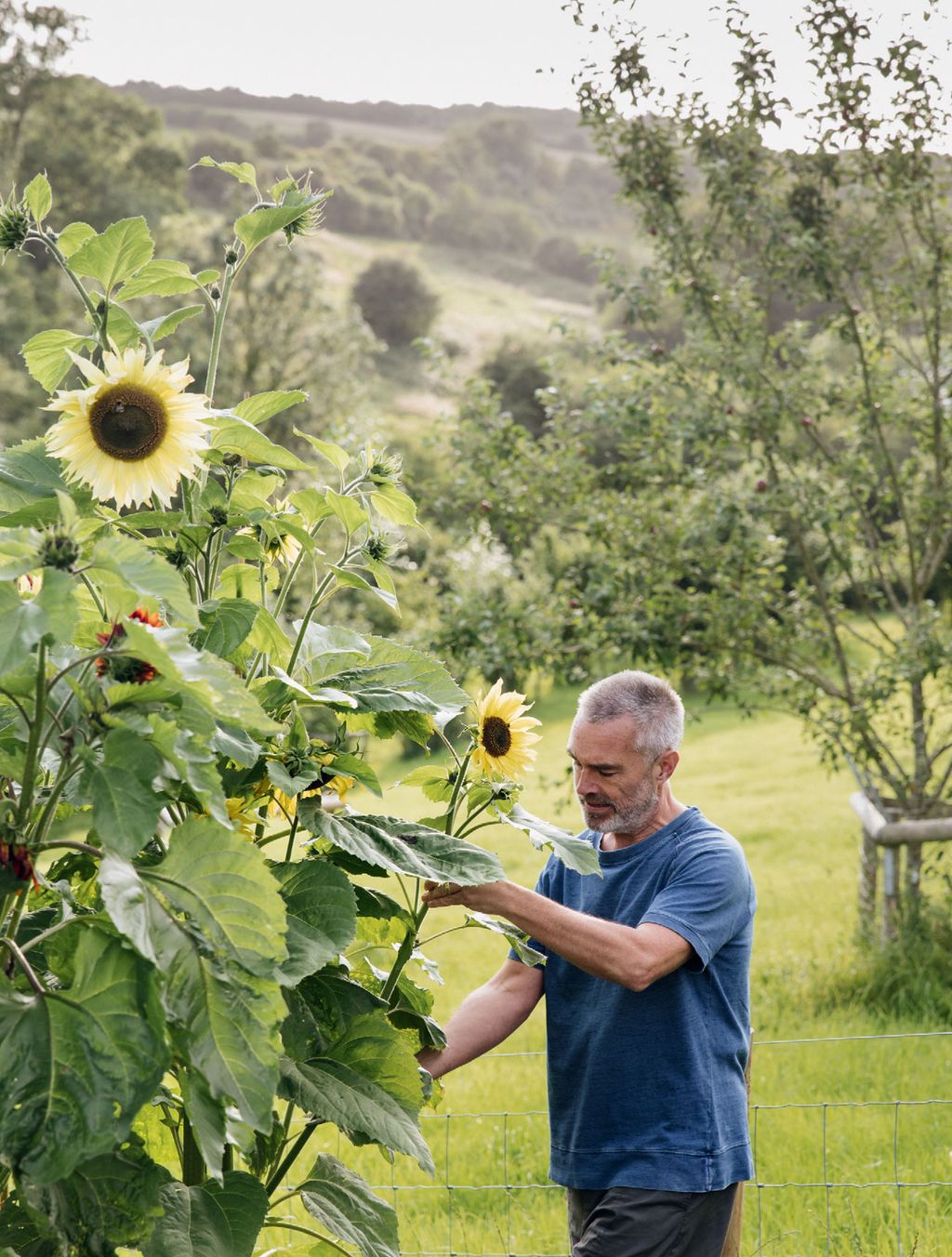 Image may contain Human Person Plant Outdoors Flower Blossom Sunflower and Garden