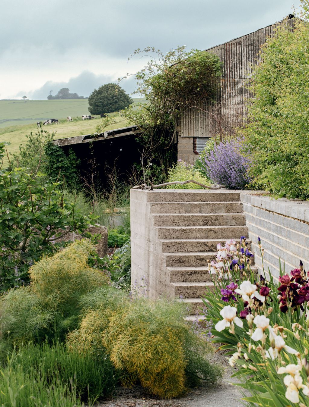 Image may contain Plant Outdoors Flower Blossom Nature Flower Arrangement Vase Pottery Potted Plant and Jar