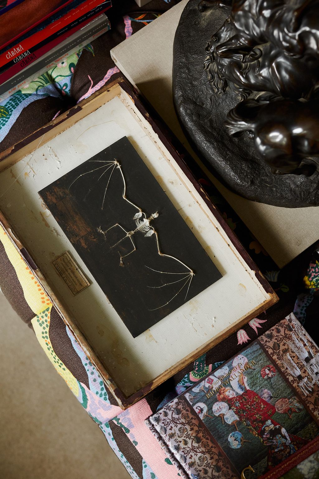 The skeleton of the bat I fell in love with in Tetbury. Look at his ribcage his legs his feet his toes… hes so human...